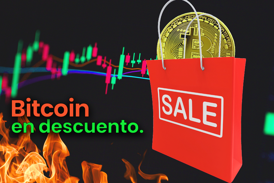 Bitcoin en Descuento: Cuando el Mercado Tiene Miedo, los Hodlers Construyen